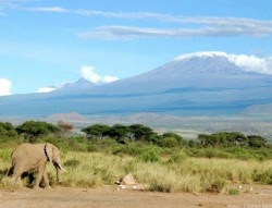 Tanzánia - nefalšovaná africká divočina