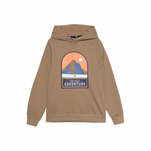 Chlapčenská turistická mikina s kapucňou - 4F JUNIOR-SWEATSHIRT-4FJWSS24TSWSM0933-81S-BROWN Hnedá 164 2
