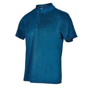 Pánske tréningové polo tričko s krátkym rukávom - ANTA-SS Polo-MEN-85927117-1-Q219-Green Modrá L