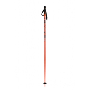 Lyžiarske palice - BLIZZARD-Race ski poles Čierna 135 cm 2021 1