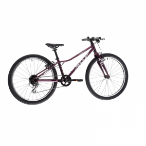 Juniorský horský bicykel - AMULET-24 Tomcat SH, royal purple/silver, 2023 Fialová 24" 24" 3