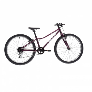 Juniorský horský bicykel - AMULET-24 Tomcat SH, royal purple/silver, 2023 Fialová 24" 24" 4