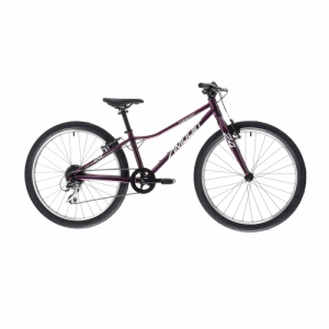 Juniorský horský bicykel - AMULET-24 Tomcat SH, royal purple/silver, 2023 Fialová 24" 24" 5