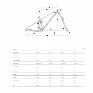 Horský bicykel - MONDRAKER-Superfoxy Carbon R, carbon/desert grey/orange Šedá 29" L 2023 3